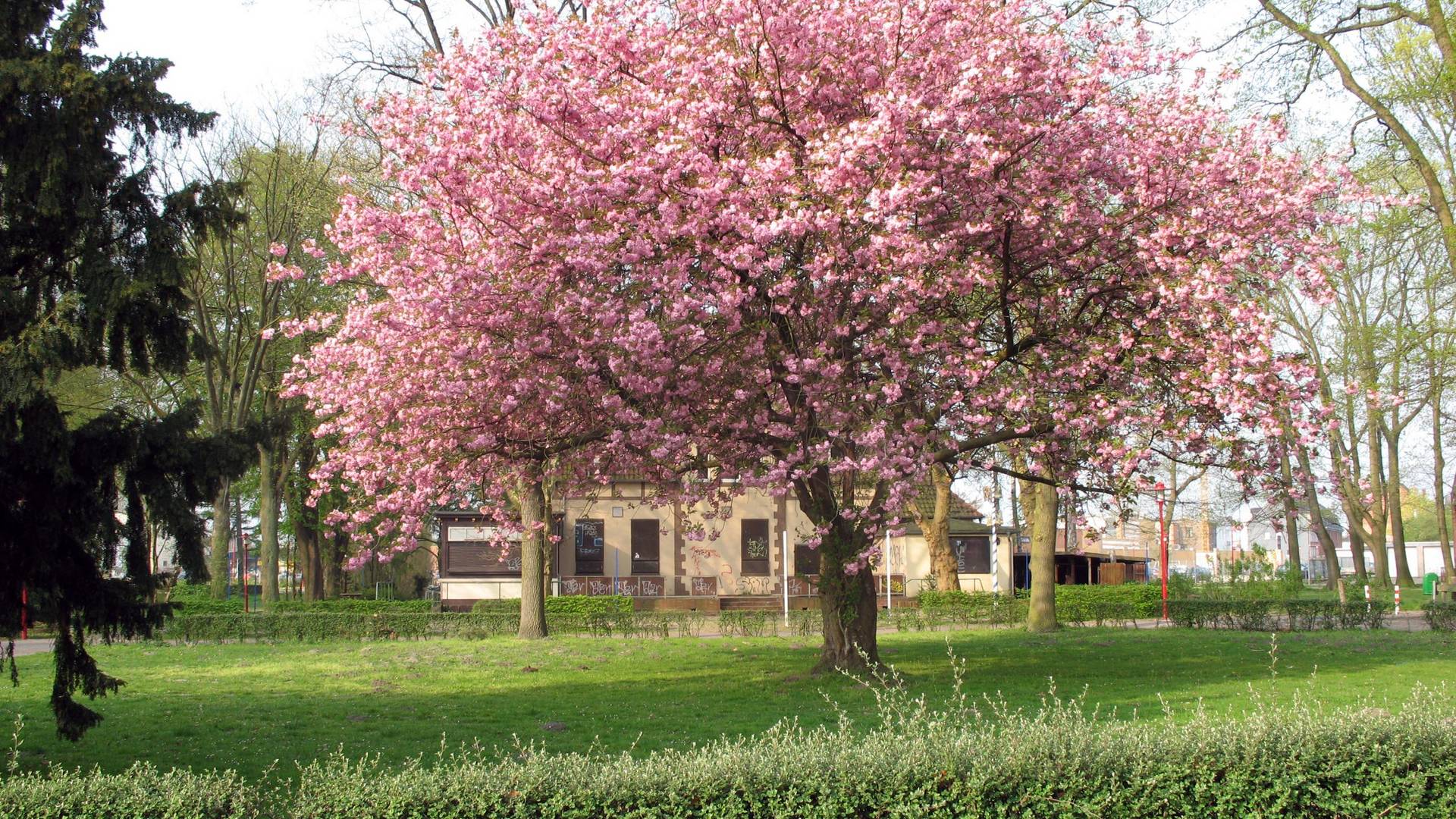 2007.04.17. Alter Stadtpark 002