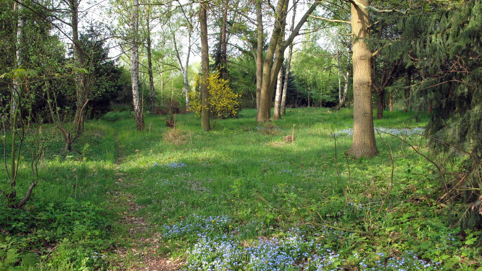 2007.04.17 Altes Grabeland