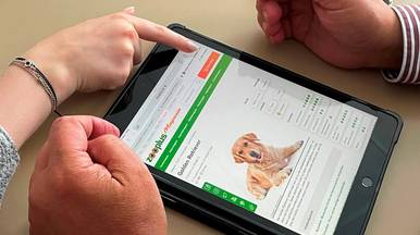 kennenlernen der digitalen welt