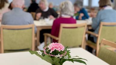 geselliger austausch im rahmen der aktiv und gesundheitswoche 2024 in der begegnungsst tte goethestra e lehrte