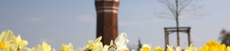 Stadtpark Lehrte Am Wasserturm